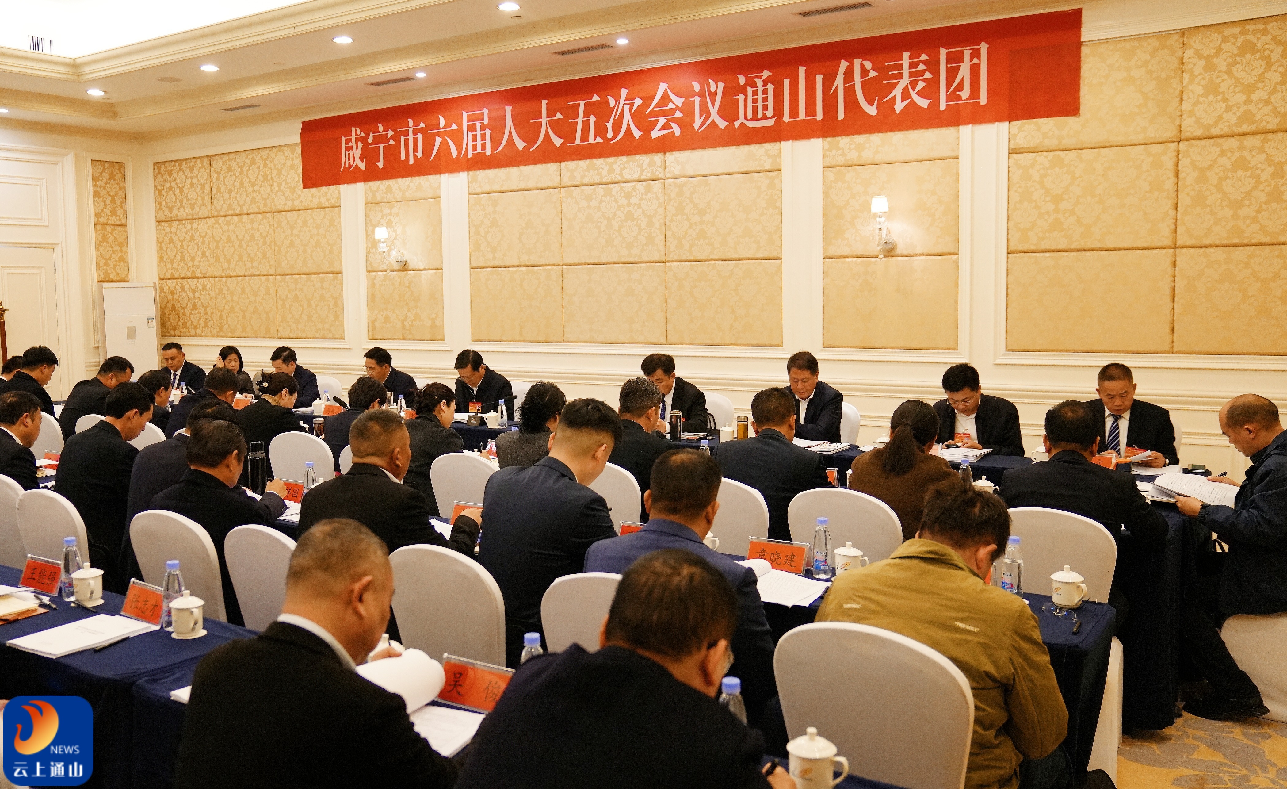 市领导参加通山代表团审议《政府工作报告》