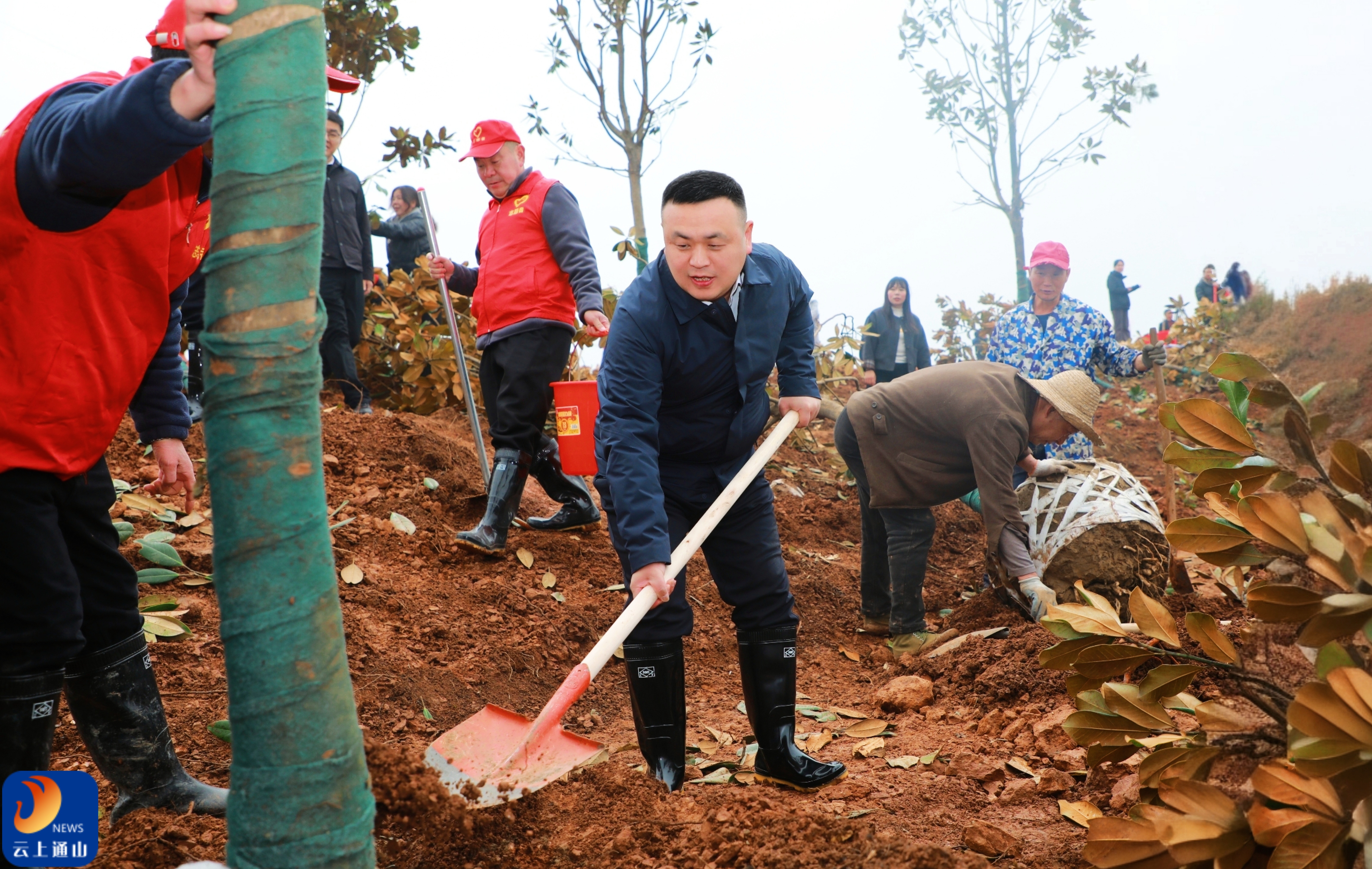 通山县举行2026年县直机关义务植树活动 王功辉参加并强调：厚植生态底色 为“三区”建设增绿添彩