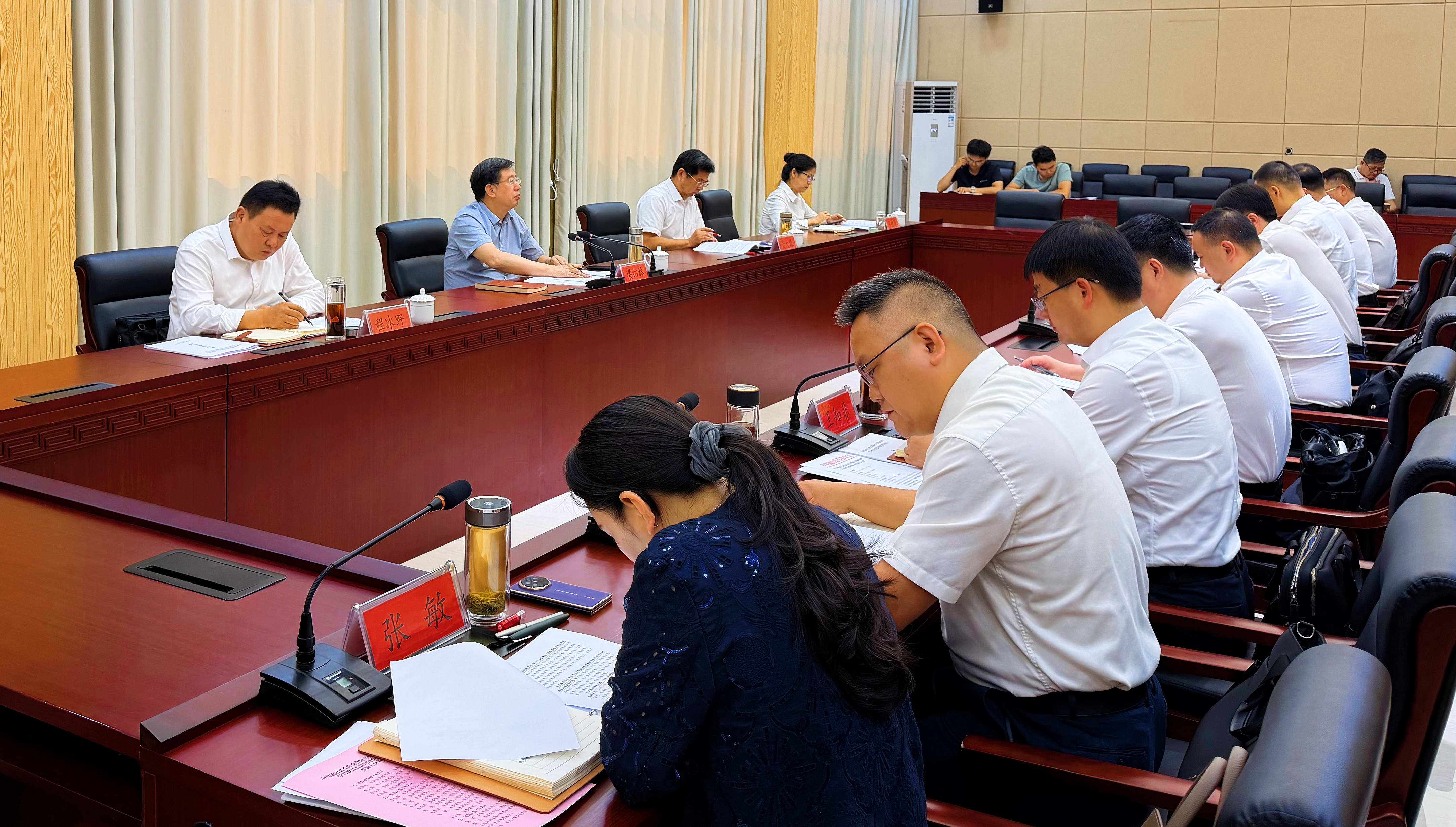 梁细林出席指导通山县委常委会树立和践行正确政绩观学习教育查摆问题专题会