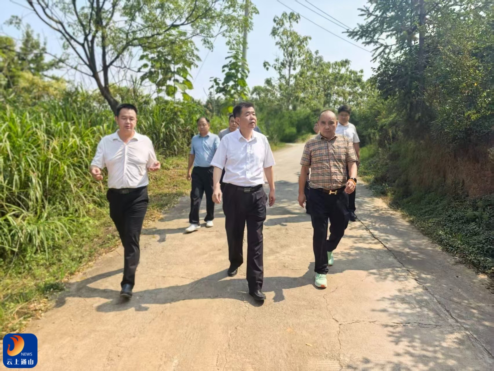 吴涛在开展巡林工作时强调：深入学习贯彻习近平生态文明思想 以高水平保护支撑高质量发展